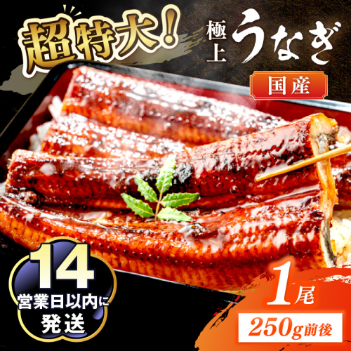 超特大！極上！国産うなぎ蒲焼 1尾 250g前後
 2102110 - 京都府京丹後市