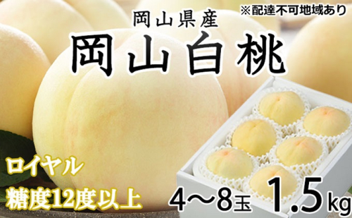 桃 2026年 先行予約 岡山 白桃 ロイヤル 4～8玉 約1.5kg JAおかやまのもも（早生種・中生種） もも モモ 岡山県産 国産 フルーツ 果物 ギフト  210215 - 岡山県瀬戸内市