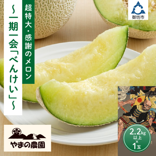 やまの農園 感謝のメロン~一期一会「べんけい」~(先行予約2025年7月中旬より順次発送予定) 210899 - 和歌山県御坊市