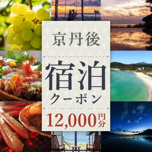 【京丹後市観光公社】京丹後宿泊クーポン　1枚 211745 - 京都府京丹後市