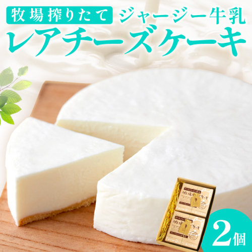 牧場のチーズケーキ（生）２個セット
 211856 - 京都府京丹後市