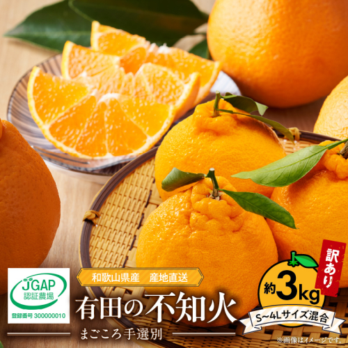 ZE6378n_【2026年先行予約】有田の不知火(しらぬひ) 【訳あり　家庭用】　3kg (S～4Lサイズ混合)まごころ手選別 211998 - 和歌山県湯浅町