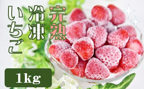 【先行予約＿2026年出荷分】特別賞受賞！完熟冷凍いちご 1kg 【 いちご 果物 フルーツ 苺 イチゴ 冷凍 果物 フローズン くだもの 大容量 静岡県産 期間限定 】　<A-1>