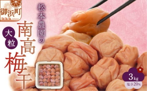 松本農園の大粒南高梅3キロ【数量限定 梅干し 梅干 梅 うめぼし 大粒 3kg 松本農園  手作り 漬物 朝食 弁当 昔ながら 大容量 三重県 御浜町】