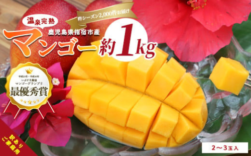 【2026年 発送 先行予約】【訳あり】鹿児島県いぶすき産 温泉完熟マンゴー約1kg(T&P/016-1750) マンゴー フルーツ 果物 旬 夏 指宿 いぶすき 鹿児島  完熟  グルメ 南国 南国フルーツ 果実 マンゴー 太陽 国産 鹿児島県産