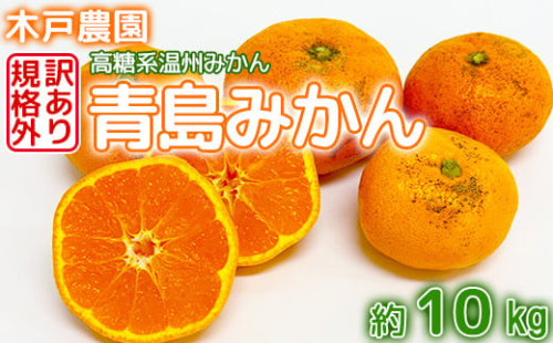 【訳あり・規格外品】木戸農園の「青島 約10kg」 高糖系温州みかん みかん 10kg 訳あり 先行予約 柑橘類 フルーツ 1月 2月 ＜113-014＞