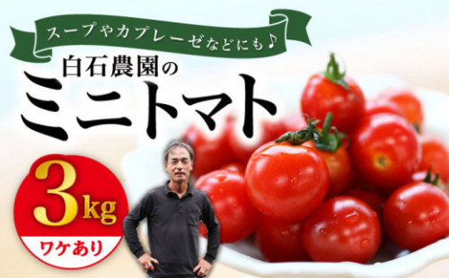 【11月より配送開始】ミニ トマト 訳あり 約3kg まぼろしチョイス掲載のお品！ ＜白石農園＞ [CBI003] 西海市産 トマト とまと 野菜 新鮮 旬 トマト 訳あり 不揃い 規格外 トマト