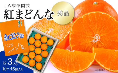 【先行予約】 愛媛オリジナル品種 「紅まどんな」（秀品 約３kg） 2025年11月下旬～12月下旬発送 【オンライン決済限定】 JA東予園芸　紅まどんな 柑橘 まどんな