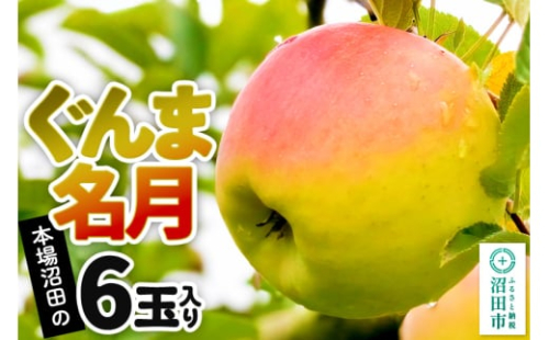 《11月中旬以降発送》先行予約 果実の里 原田農園 ぐんま名月 1箱 6玉入り