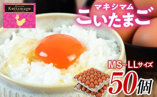 【TVで話題沸騰！】とにかく黄身が濃いたまご「マキシマムこいたまご」50個入り 伊達市 福島県 国産 MS～LLサイズ 養鶏場直送 卵 たまご 玉子 生卵 鶏卵  F20C-275
