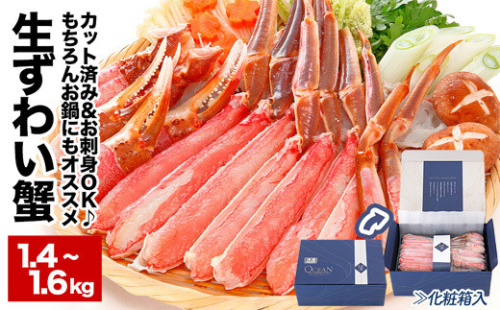 B-48014 【生食可】カット済み生ずわいがに1.4～1.6kg(700～800g×2P) ずわいがに ズワイガニ カニ 蟹 かに 刺身 海鮮 北海道 根室