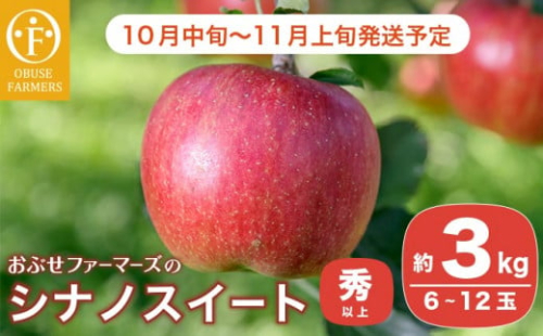  シナノスイート 秀以上 約3kg 6～12玉 ［おぶせファーマーズ］ 果物 フルーツ りんご 林檎 リンゴ 長野県産 信州産 令和7年産 【2025年10月中旬〜11月上旬発送】 ［FH-84］