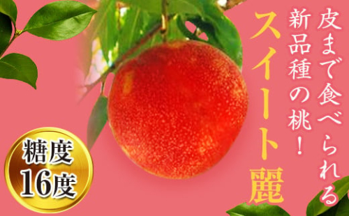 【2026年出荷分先行予約】福島県産 スイート麗 約1.5㎏ (6～9玉) 高橋もも園 皮まで食べられる新品種 伊達の桃 桃 フルーツ 果物 もも モモ momo F20C-149