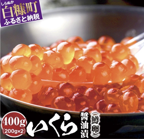 いくら醤油漬（鱒卵）【400g（200g×2）】 26536 - 北海道白糠町