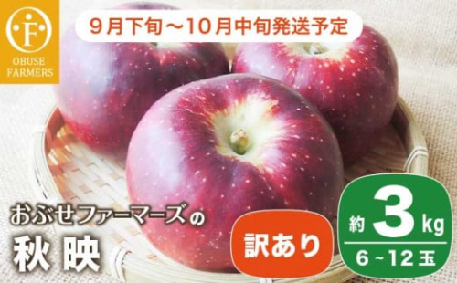 【訳あり】 秋映 約3kg 6～12玉 ［おぶせファーマーズ］ 不揃い 規格外 家庭用 果物 フルーツ りんご 林檎 リンゴ 長野県産 信州産 令和7年産 【2025年9月下旬〜10月中旬発送】 ［FH-52］