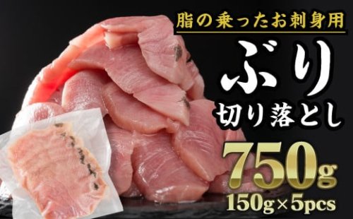 3ヶ月以内にお届け 生食用 ブリ 切り落し 大満足750gセット（150g × 5パック） 小分け ブランド ぶり 鰤 ブリ ぶりしゃぶ しゃぶしゃぶ 魚 切り身 真空 人気 ランキング 高級 大満足 美味しい 贈答 生食用 刺身 お刺身 刺し身 魚介類 海鮮 冷凍 厚切り 薄切り ふるさと納税 ふるさとチョイス 三重県 尾鷲市 OB-32