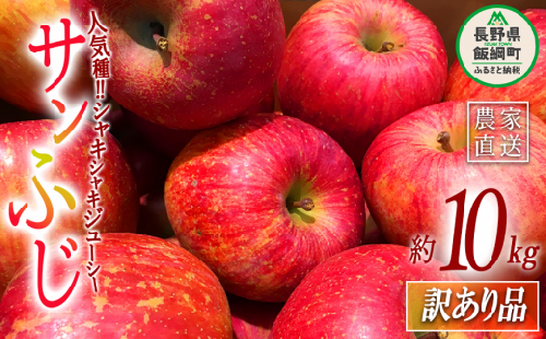 りんご サンふじ 訳あり 10kg 大垣農園 沖縄県への配送不可 2025年11月下旬頃から2025年12月下旬頃まで順次発送予定 令和7年度収穫分 傷 不揃い リンゴ 林檎 果物 フルーツ 信州 長野 17000円 予約 農家直送 長野県 飯綱町 [1133]