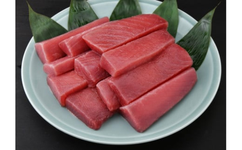 【訳あり】＜三崎港直送！＞これを選べば間違いなし！業務用 三崎の天然マグロ2kg　M063-003-02