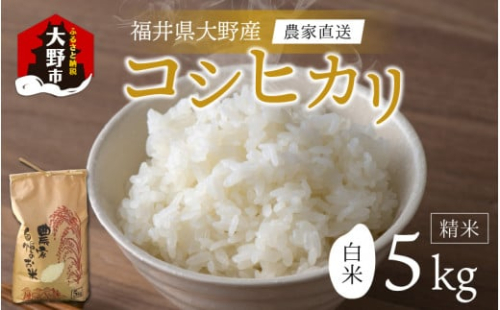 【先行予約】【令和7年産 新米】福井県大野市産 コシヒカリ 白米 精米 5kg 農家直送