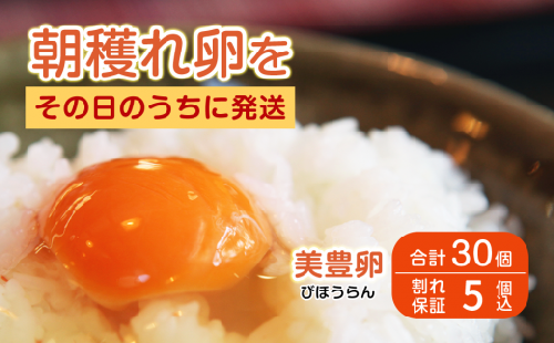 たまご 卵 タマゴ 30個 美豊卵 熊福 こだわり ふっくら 濃厚 朝穫れ ふるさと納税 送料無料 【四国中央市 日本一 紙のまち】