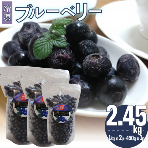 ＜４～６ヶ月程度で発送予定（申込状況により遅れる場合があります）＞【ブルーベリー（冷凍）2kg】高知県 佐川町 果物 フルーツ 国産 冷凍ブルーベリー 常備果物 2949 - 高知県佐川町