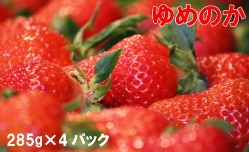 ＜2026年1月頃～3月頃発送予定＞ 【ゆめのか 285g×4パック】秀品 いちご 苺 ストロベリー 贈答用 ギフト 佐川町産 3012 - 高知県佐川町