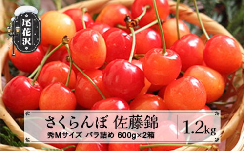先行予約 2026年産 さくらんぼ 佐藤錦 秀Mサイズ 1.2kg(600g×2箱) バラ詰め 令和8年産 山形県産 ns-snsmb1200