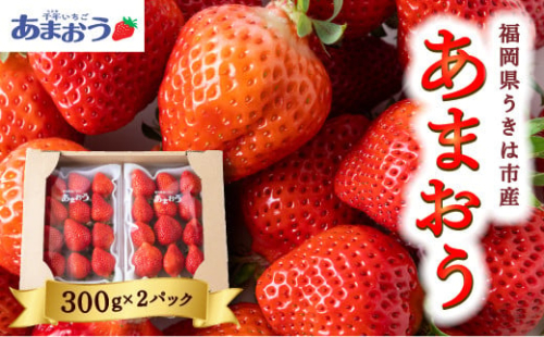千年いちご あまおうイチゴ (300g×2パック) 12月お届け あまおう いちご イチゴ 苺 フルーツ 果物 冷蔵 送料無料 福岡県 うきは市 【2025年12月下旬より順次発送予定】 