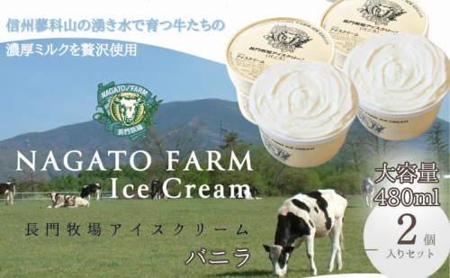 長門牧場アイスクリーム 480ml バニラ2個セット スイーツ 乳製品 30610 - 長野県長和町