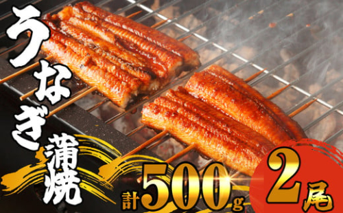 ふっくら肉厚 有頭 うなぎ蒲焼 2尾 500g SF010-2 ～ 冷凍 鰻 特大 小分け ウナギ 蒲焼 蒲焼き 大人気 タレ スタミナ 夏バテ 5尾 1250g おつまみ 魚貝 レンジ トースター オーブン フライパン 湯煎 おつまみ 訳あり うな丼 うな重 中国産 取り寄せ 人気 ふわふわ ランキング レンチン レシピ ごはん 自宅 贈答 ～