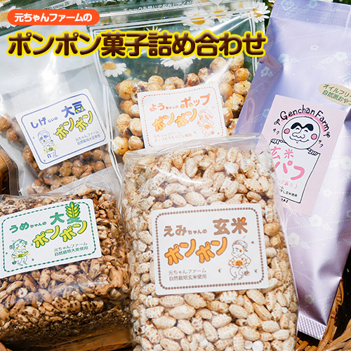 ポンポン菓子詰合せ 元ちゃんファーム《90日以内に出荷予定(土日祝除く)》 和歌山県 紀の川市 玄米 大豆 大麦 トウモロコシ 送料無料 309098 - 和歌山県紀の川市