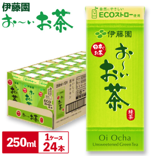 紀の川市産 紙パック飲料 おーいお茶 250ml×24本 1ケース 株式会社伊藤園 《30日以内に出荷予定(土日祝除く)》 和歌山県 紀の川市 お茶 おーいお茶 緑茶 日本茶 送料無料 309167 - 和歌山県紀の川市
