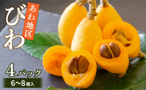 【 早期予約受付 5月中旬頃より順次発送 】びわ フルーツ 果物 おすすめ 6 ~8個 4 パック 約 1.2kg 旬 果実 ギフト 枇杷 期間限定 高知県 須崎市 高級 季節 初夏 新着 高知 贈答  