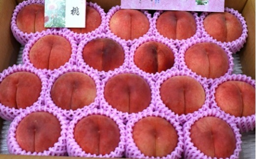 07-07-012　もも(白桃9月ご家庭用)4~4.5kg