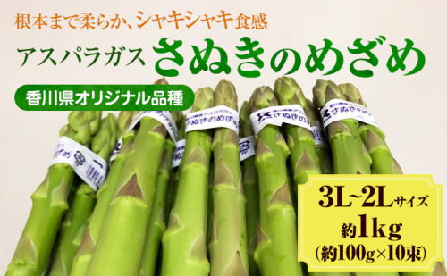 アスパラガス【さぬきのめざめ】3L・2Lサイズ1kg 野菜 夏野菜  31457 - 香川県東かがわ市