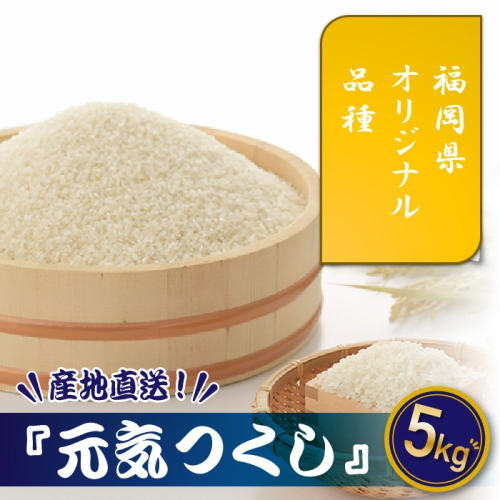 AD136.特Aも獲得した自慢のお米『元気つくし』5kg【元気つくし】 32054 - 福岡県新宮町