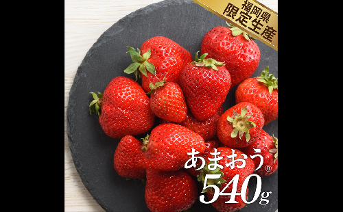 A1381.人気No.１獲得謝礼品★限定品★あまおう約５４０g（先行受付．２０２６年１月以降発送） 32336 - 福岡県新宮町
