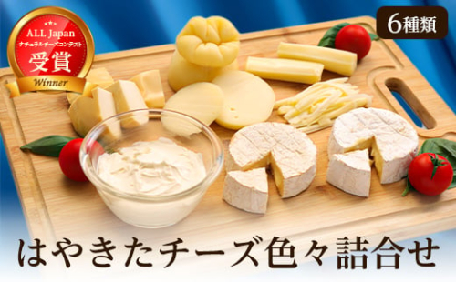  高評価! ナチュラルチーズコンテスト受賞! 夢民舎ブランド はやきたチーズ 色々詰合せセット _ カマンベールチーズ クリームチーズ モッツァレラチーズ カチョカバロ さけるチーズ 人気 北海道 おつまみ【1001151】