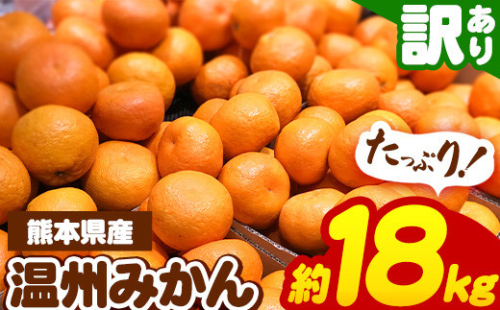 訳あり 熊本県産 温州 みかん 約 16.8kg （16kg+傷み補償分800g） | フルーツ 果物 くだもの 柑橘 みかん ミカン オレンジ 温州ミカン 熊本県 玉名市 みかん 名産地 甘い みかん