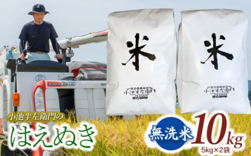 数量限定 【令和7年産先行予約】 山形県庄内産 小池半左衛門のお米 はえぬき 無洗米 10kg (5kg×2袋)