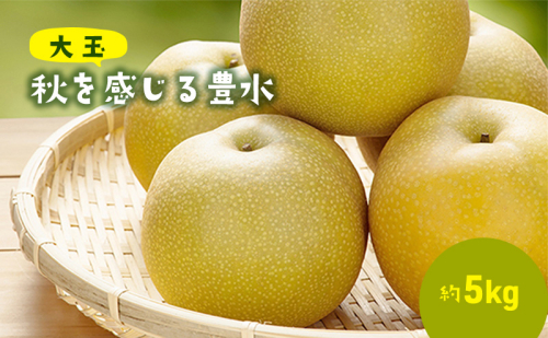 大玉!秋を感じる 豊水梨(5kg) 果物 フルーツ 33410 - 千葉県市原市