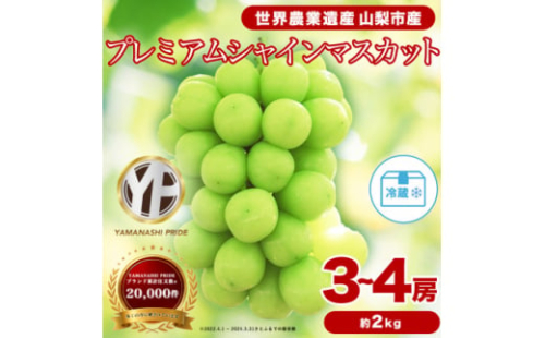 2026年度先行予約 フルーツ王国山梨産 厳選 シャインマスカット 3～4房 (約2kg)【1108670】