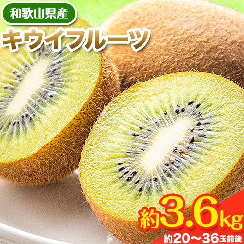 先行予約 和歌山県産 キウイフルーツ 約3.6kg 約20玉～36玉前後 前商店《2026年2月上旬-3月末頃出荷》キウイ キウイフルーツ フルーツ スイーツ 果物 送料無料 343637 - 和歌山県紀の川市