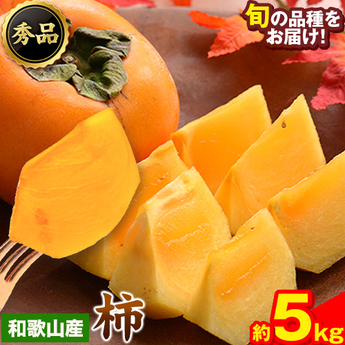 和歌山県産 和歌山県産 柿 秀品 約5kg 前商店《9月下旬-11月中旬頃出荷》柿 かき フルーツ スイーツ 果物 送料無料 343644 - 和歌山県紀の川市