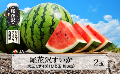 先行予約 尾花沢すいか Lサイズ 約6㎏×2玉 7月下旬～8月10日頃発送 2025年産 令和7年産 大玉 すいか スイカ 西瓜 果物 フルーツ 産地直送 山形県 尾花沢市 JA ja-su1xx2
