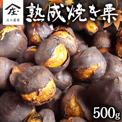 庄七農園 限定 熟成 焼き栗 500g 【 10月から順次お届け 】 栗 くり 焼栗 おやつ スイーツ 茨城 和栗 美味しい 果物 フルーツ [BK05-NT] 346583 - 茨城県つくばみらい市