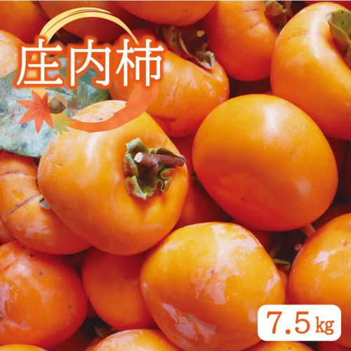 SA2612　庄内柿　約7.5kg 34743 - 山形県酒田市