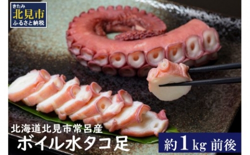 北海道北見市常呂産 ボイル水タコ足 約1kg前後 ( 海鮮 たこ 水タコ )【091-0010】 355930 - 北海道北見市