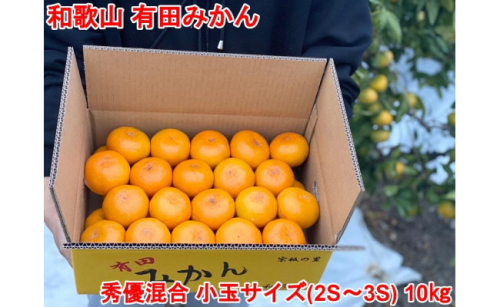 ［小玉サイズ(３Ｓ・２Ｓ）・秀／優混合］早生みかん≪10kg≫和歌山有田産！［予約販売］［数量限定］まる隆果樹園 356262 - 和歌山県有田川町