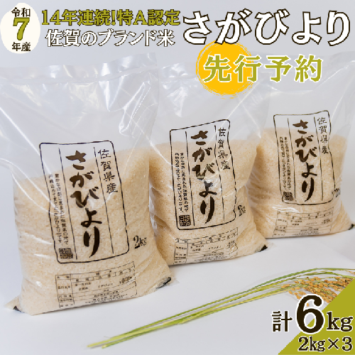 【先行予約】令和7年 佐賀県産さがびより 白米6kg：B200-035 356888 - 佐賀県佐賀市